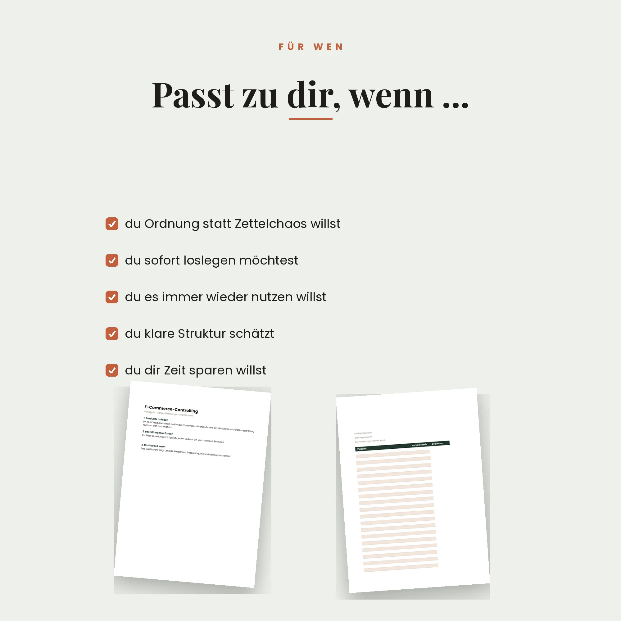 E-Commerce-Controlling – für wen die Vorlage passt