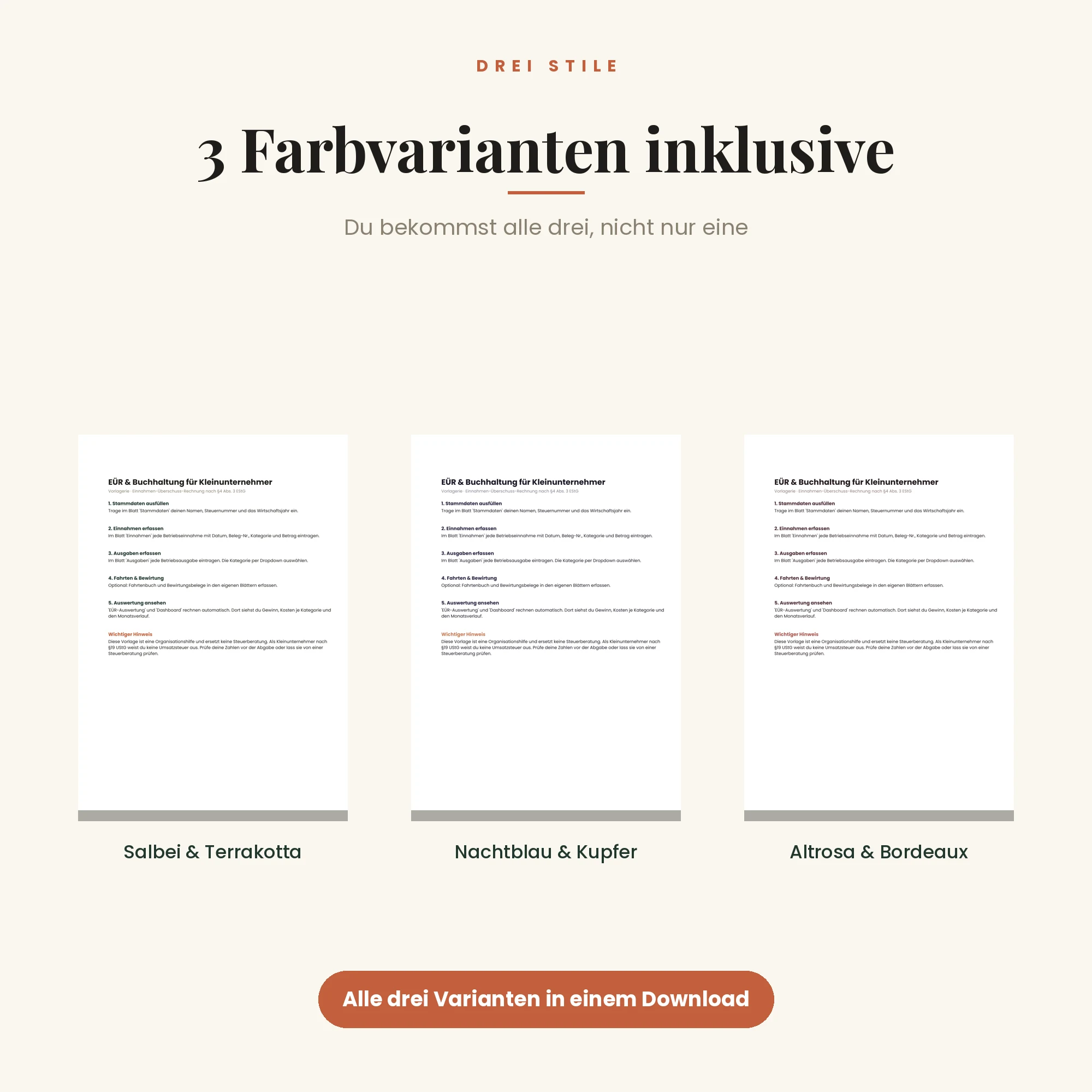 EÜR & Buchhaltung für Kleinunternehmer – drei Farbvarianten inklusive