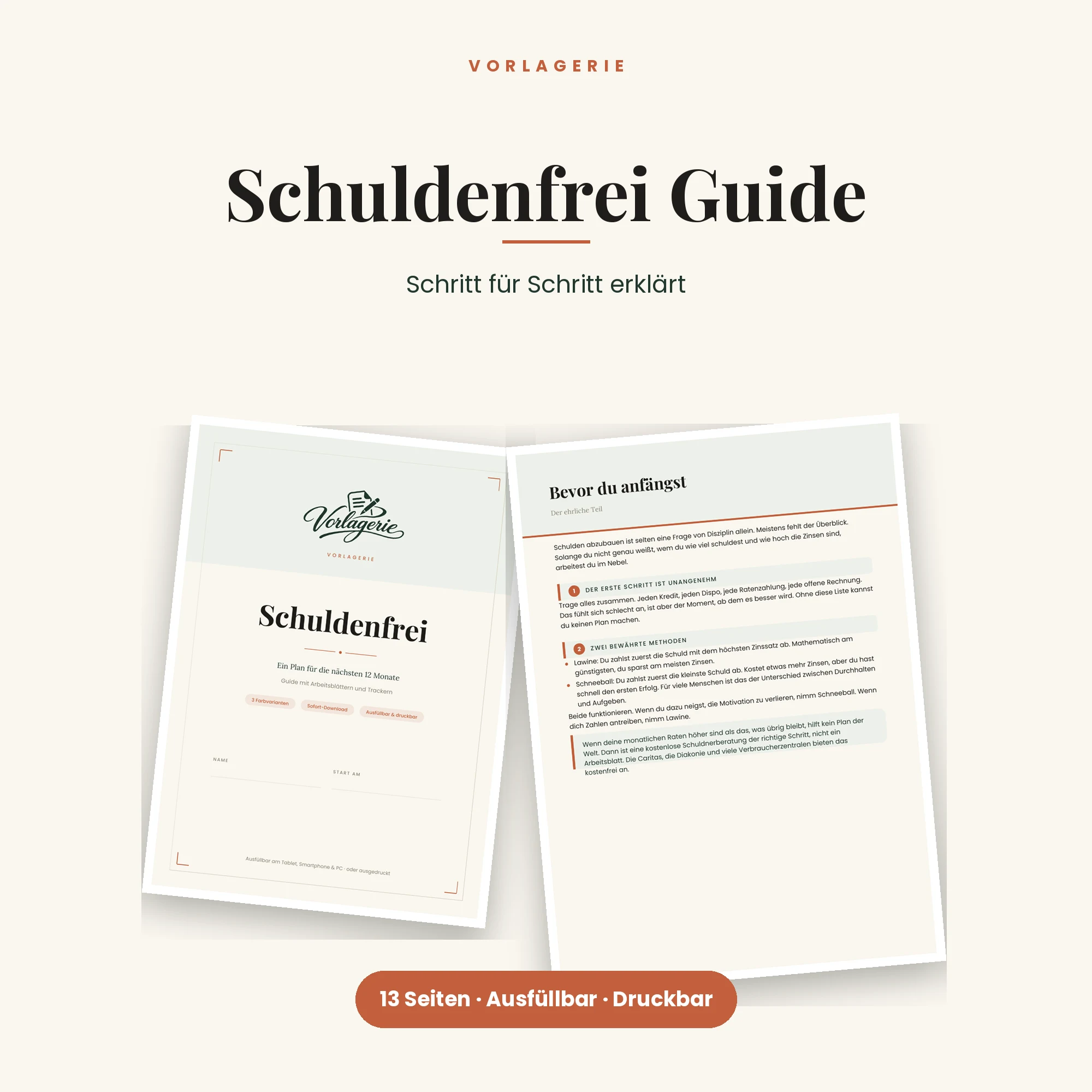 Schuldenfrei in 12 Monaten – Titelbild