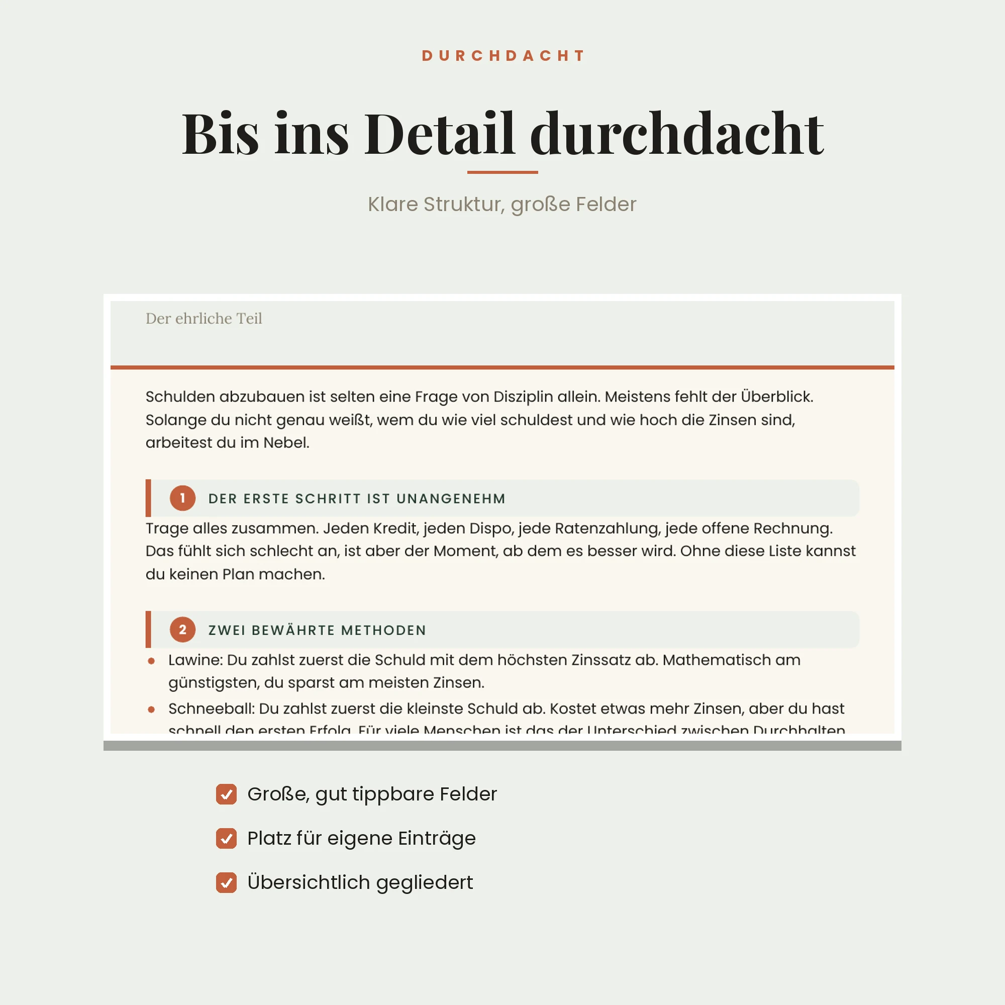 Schuldenfrei in 12 Monaten – Detailansicht