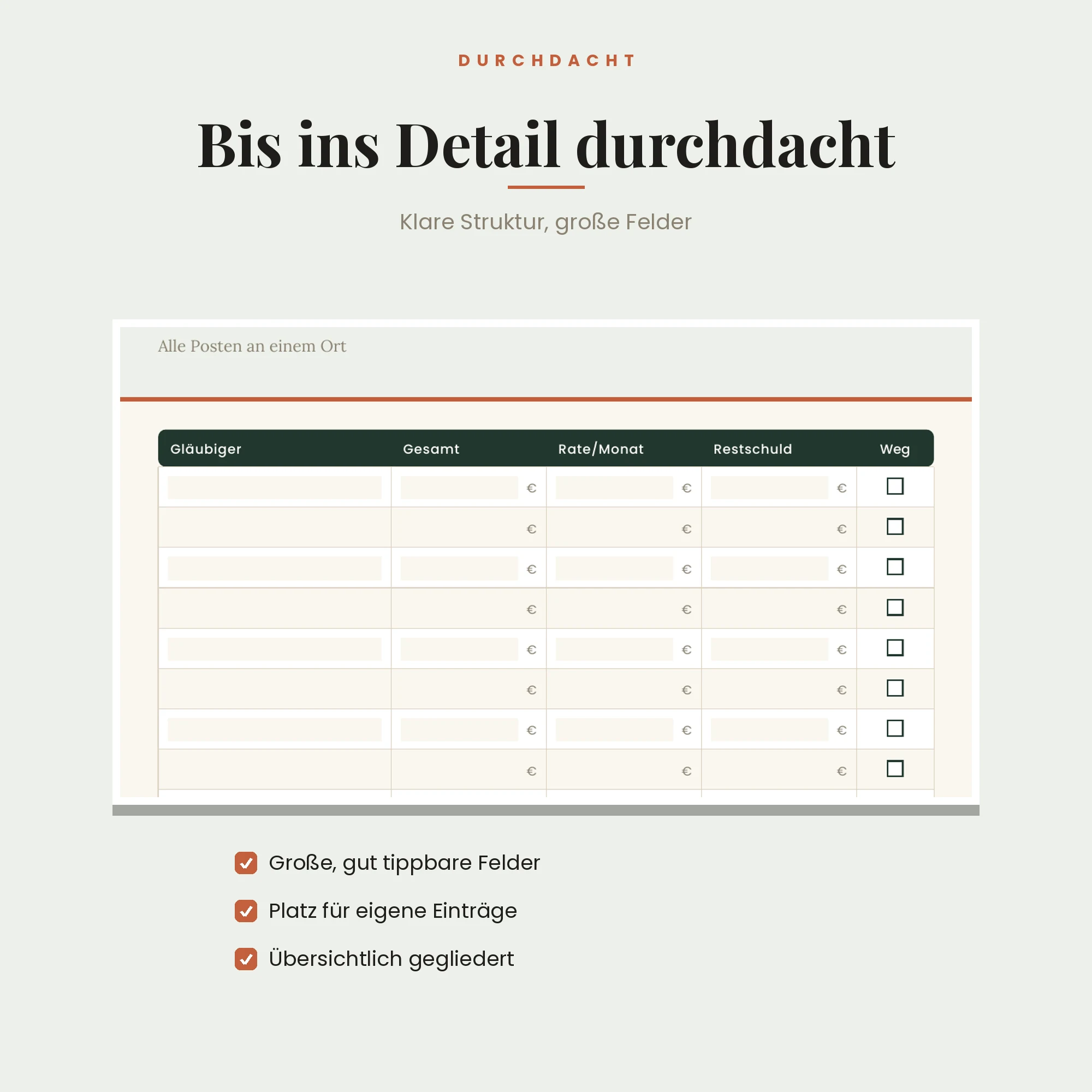 Schuldenfrei-Tracker – Detailansicht